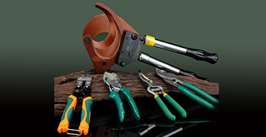 1747217686439942.jpg 384-1.jpg